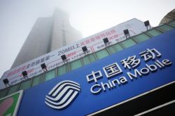 1分钟教程!温州公司查询_哔哩哔哩-2